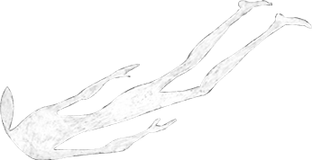 human