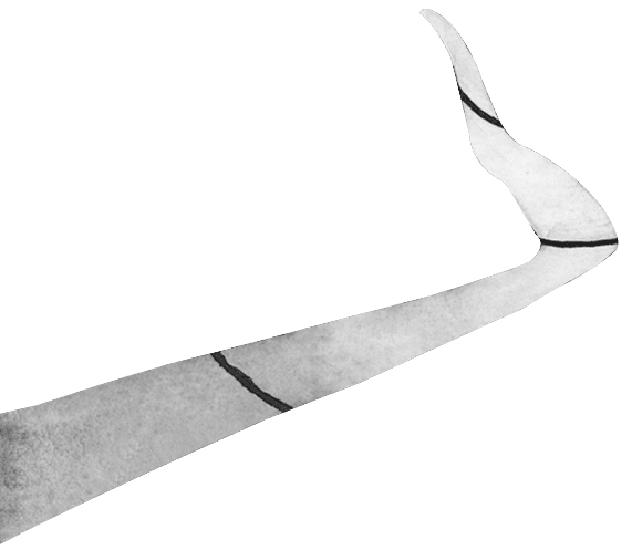 left hand